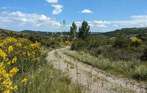 665f0fc797205_IMG20240521WA0003.jpg