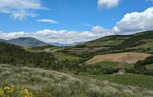 665f0fc7e3240_IMG20240521WA0004.jpg