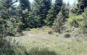 665f102023867_IMG20240531WA0018.jpg