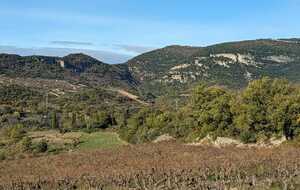 673cbea3bbdcc_IMG20241119WA0035.jpg