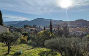 673cbea411bb3_IMG20241119WA0036.jpg