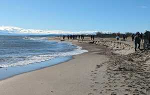 6740a99bcc252_IMG20241122WA0014.jpg