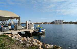 674dba016e507_IMG20241130WA0004.jpg