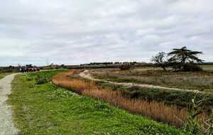 6761b90f7ab9a_IMG20241217WA0004.jpg