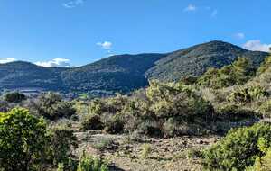 677d741e6a61a_IMG20250107WA0004.jpg