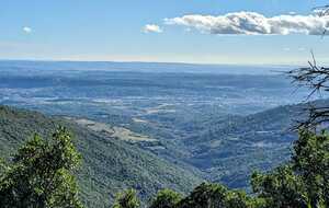 677d741ec6324_IMG20250107WA0005.jpg