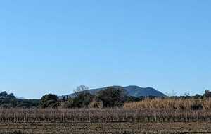 678ab1f8a5ac5_IMG20250117WA0005.jpg