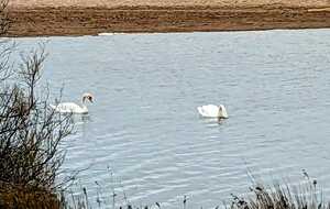 6794dec0eb459_IMG20250124WA0003.jpg