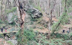 67990ebb02d41_IMG20250128WA0005.jpg