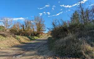 679e5c1b4085b_IMG20250131WA0004.jpg