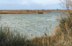 67a6404c555b5_IMG20250207WA0003.jpg