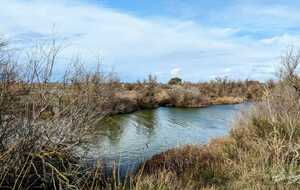 67a6404cb3de3_IMG20250207WA0004.jpg