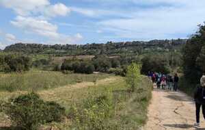 67f9416d6a902_IMG20250411WA0003.jpg