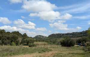 67f9416dcbf80_IMG20250411WA0004.jpg