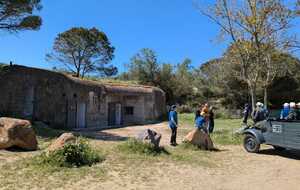 68035bcd6f9ea_IMG20250418WA0003.jpg