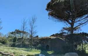 68035bcdd8972_IMG20250418WA0004.jpg