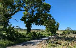 680bcfe05f5cd_IMG20250425WA0003.jpg