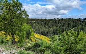 681a2b10f0a4f_IMG20250506WA0002.jpg