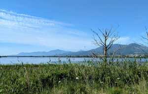 682b541eb0ad1_IMG20250518WA0036.jpg