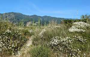 682b541f71603_IMG20250518WA0038.jpg