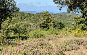 6835ed21b6713_IMG20250527WA0019.jpg