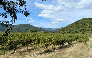 68b728ae03518_IMG20250902WA0002.jpg