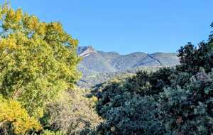 68e92fc54d44e_IMG20251010WA0005.jpg