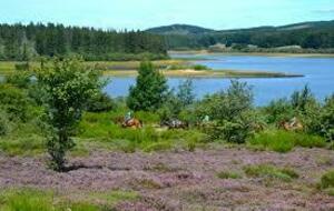 journée rencontre lac de vézoles
