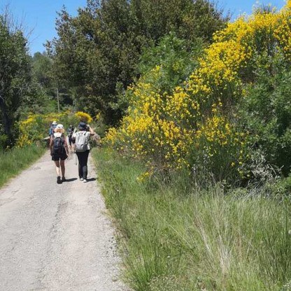 Talairan "sentier du facteur" avec Jean-Luc